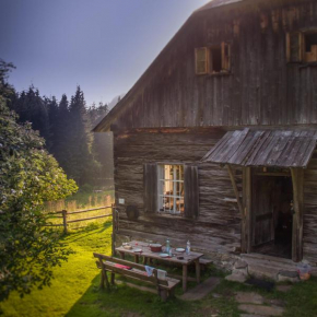 Unplugged Almhütte Waldbauer Reichenfels